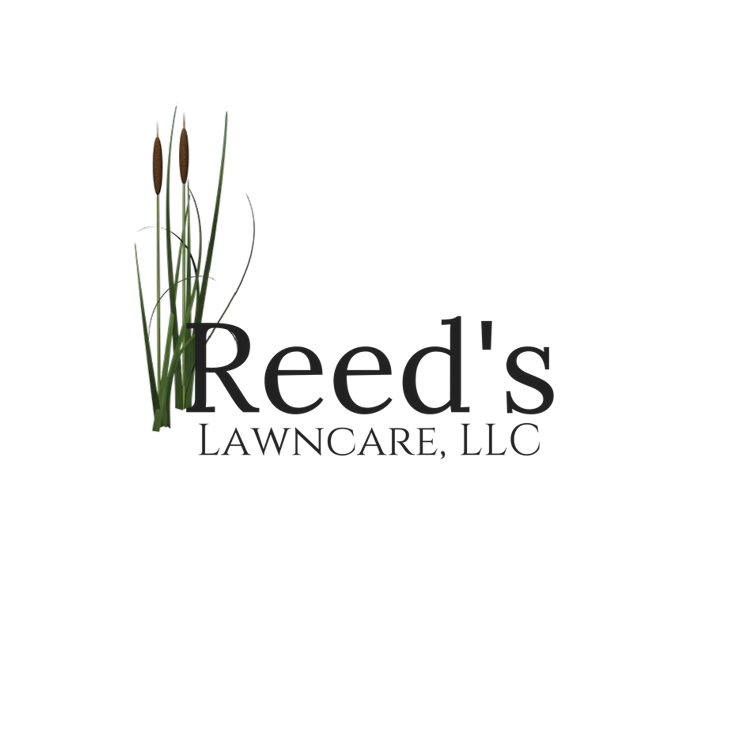 https://virtual-lyfe.com/wp-content/uploads/2019/10/Reeds-Logo.png